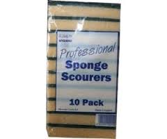 Loorollscom Sponge Scourers 10 Pack