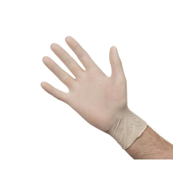 Latex Gloves - Powder Free - Large - Box 100